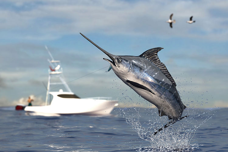 Big game fishing on San Salvador