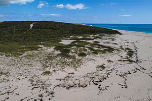 Beachfront Resort Lot On San Salvador, The Bahamas